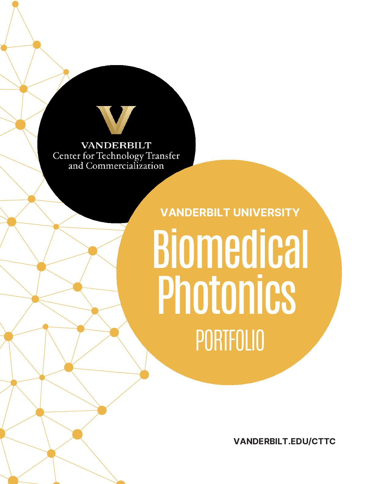 Vanderbilt BioPhotonics Pipeline