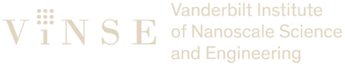 VISE Logo