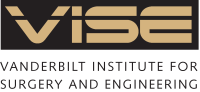 VISE Logo